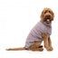 Camisola para cão FuzzYard Turtle Teddy lavanda