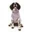 Camisola para cão FuzzYard Turtle Teddy lavanda