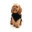 Camisola para cão FuzzYard Turtle Teddy preto
