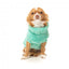 Camisola para cão FuzzYard Turtle Teddy verde-azulado