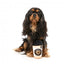Peluche para cães FuzzYard Barkrista Puppuccino em forma de copo de café