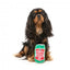 Peluche para cães FuzzYard lata de cerveja Hound Hops com apito