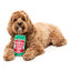 Peluche para cães FuzzYard lata de cerveja Hound Hops com apito