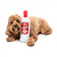 Peluche para cães FuzzYard garrafa Pawdka