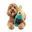 Peluche para cães FuzzYard garrafa Pup The Cork com apito