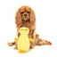 Peluche para cães FuzzYard percevejo Belly amarelo com apito