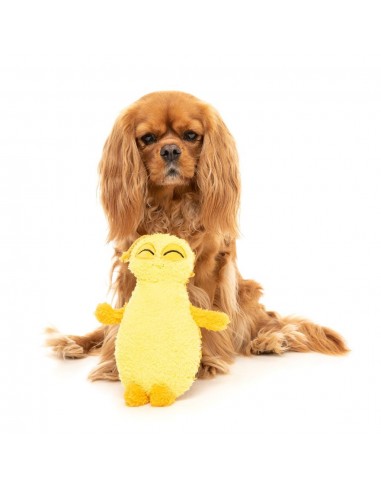 Peluche para cães FuzzYard percevejo Belly amarelo com apito