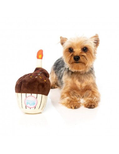 Peluche para cães FuzzYard cupcake de aniversário com apito