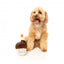 Peluche para cães FuzzYard cupcake de aniversário com apito