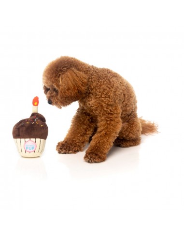 Peluche para cães FuzzYard cupcake de aniversário com apito