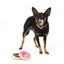 Peluches para cães FuzzYard donut, pack de 2