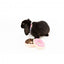 Peluches para cães FuzzYard donut, pack de 2