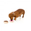 Peluches para cães FuzzYard donut, pack de 2