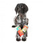 Peluche de Natal para cães FuzzYard Christmas Seltzers, pack de 2