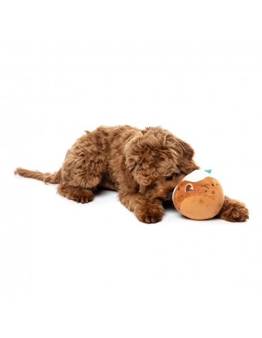 Peluche de Natal para cães FuzzYard Hey Puddin' (tamanho S)