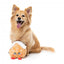 Peluche de Natal para cães FuzzYard Holly House