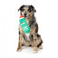 Peluche de Natal para cães FuzzYard Jolly Old St Pickl-ous