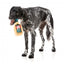 Peluche de Natal para cães FuzzYard Jolly Scotch