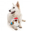 Peluche de Natal para cães FuzzYard Ka-Tree-Na the Kookaburra