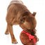 Peluche de Natal para cães FuzzYard Merry Puddin em forma de pudim de Natal