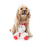 Peluche de Natal para cães FuzzYard Peppermint Electra