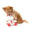 Peluche de Natal para cães FuzzYard Peppermint Electra
