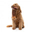 Peluche de Natal para cães FuzzYard Run Away Reindeer