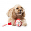 Peluche de Natal para cães FuzzYard So Long Santa