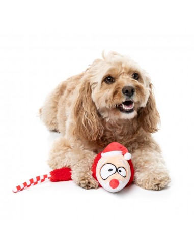 Peluche de Natal para cães FuzzYard So Long Santa