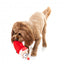Peluche de Natal para cães FuzzYard So Long Santa