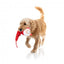 Peluche de Natal para cães FuzzYard So Long Santa