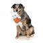 Peluche de Páscoa para cães FuzzYard Choc Belly Bunny