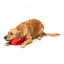 Peluche para cão FuzzYard Bola Aussie Football com apito