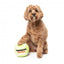 Peluche para cão FuzzYard Bola de ténis com apito