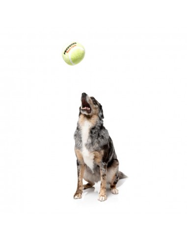 Peluche para cão FuzzYard Bola de ténis com apito