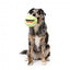 Peluche para cão FuzzYard Bola de ténis com apito