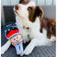 Peluche para cão FuzzYard Fun Guys Cosmo Mushroom com apito