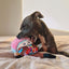 Peluche para cão FuzzYard Fun Guys Rainbow Mushroom com apito