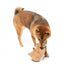 Peluche para cão FuzzYard Happybaras Capy-Ccino com apito
