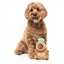 Peluche para cão FuzzYard Happybaras Capy-Ccino com apito
