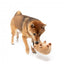 Peluche para cão FuzzYard Happybaras Capy-Tain com apito