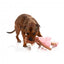 Peluche para cão FuzzYard Lankies Billie The Bear-Larina