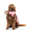 Peluche para cão FuzzYard Lankies Billie The Bear-Larina