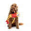 Peluche para cão FuzzYard Lankies Lewis The Drift-Tah