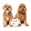 Peluche para cães FuzzYard Love Cu-pig, porquinho cupido