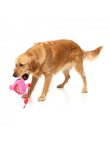Peluche para cães FuzzYard Love Tail Chaser Perfume, frasco de perfume