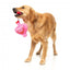 Peluche para cães FuzzYard Love Tail Chaser Perfume, frasco de perfume