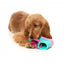 Brinquedo interativo para cães FuzzYard Fresh Kicks n' Licks 3 em 1
