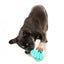 Brinquedo dispensador de snacks para cães FuzzYard Knuckle Sandwich