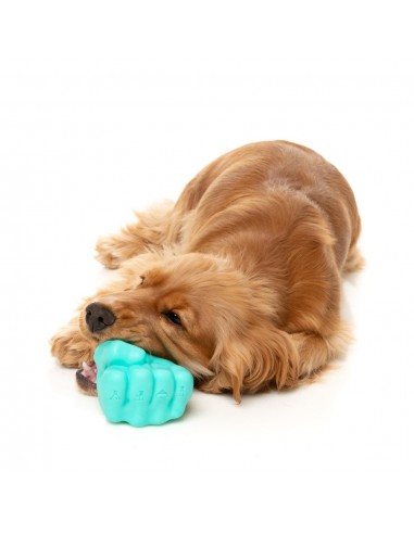 Brinquedo dispensador de snacks para cães FuzzYard Knuckle Sandwich